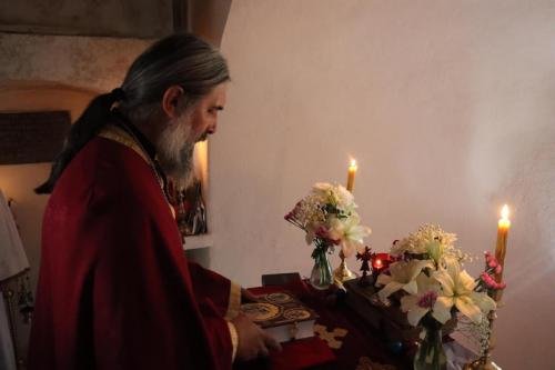 IMG 0236-Copy