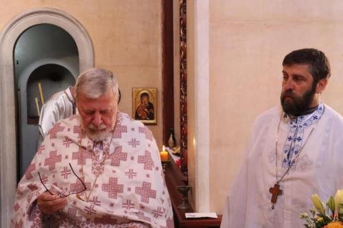 IMG 0379-Copy