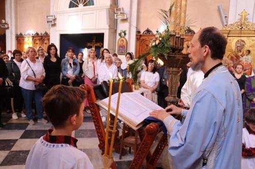 IMG 0434-Copy