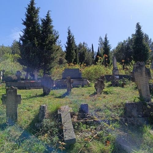 IMG 20240330 112137-Copy