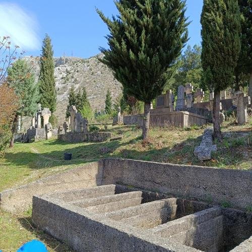 IMG 20240330 112221-Copy