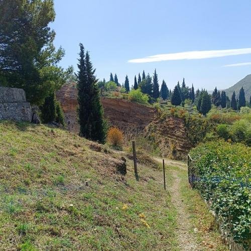 IMG 20240330 112237-Copy