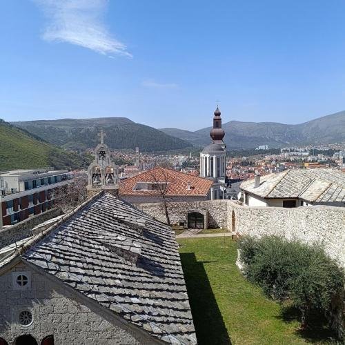 IMG 20240330 112242-Copy