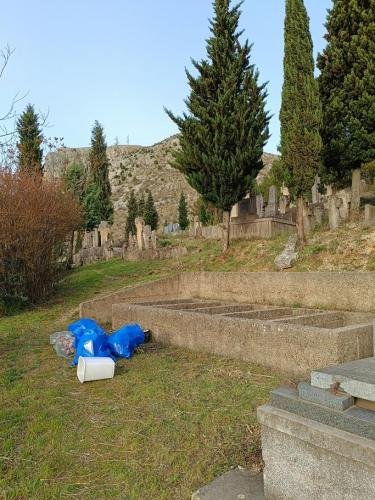 IMG 20240330 170111-Copy