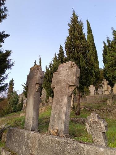 IMG 20240330 170833-Copy