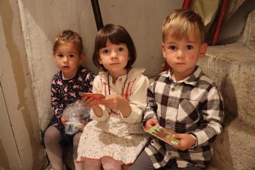 IMG 5401-Copy