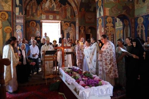 IMG 7111-Copy