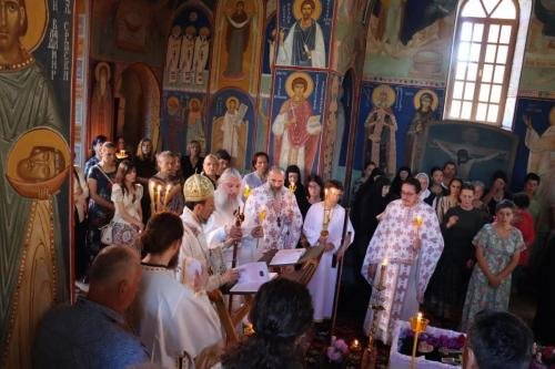 IMG 7118-Copy