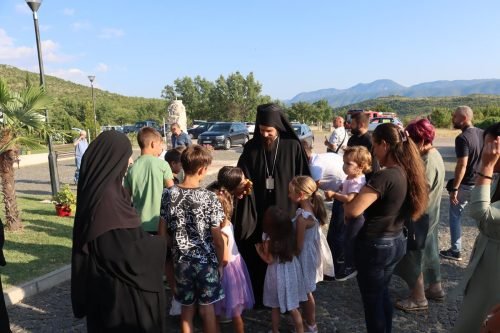 IMG 8260 (1) (1) (1)