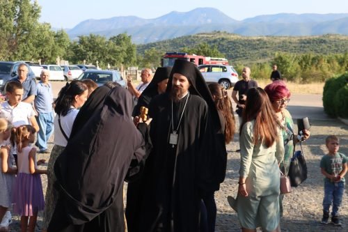 IMG 8262 (1) (1) (1)