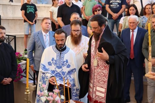 IMG 8288 (1) (1) (1)