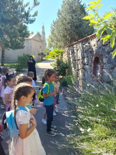 viber image 2025-06-30 15-05-19-877