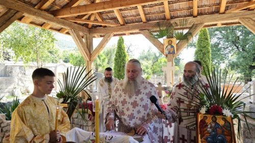 viber image 2025-07-08 13-38-25-216