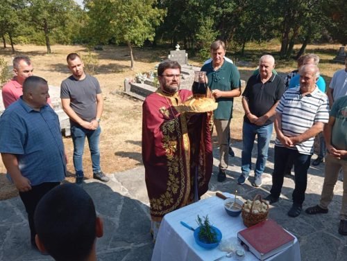 viber image 2025-07-20 17-35-54-991